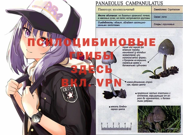мет Алексеевка