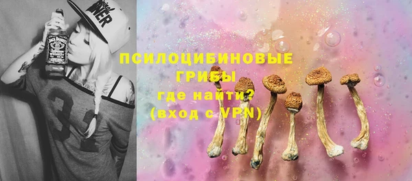 тгк Алексин